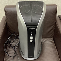 Roland ローランド ドラムモニター PM-03